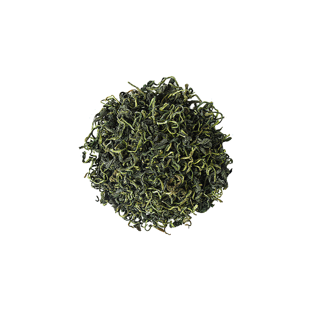 Pure powder shot of Gynostemma Extract, solid white background