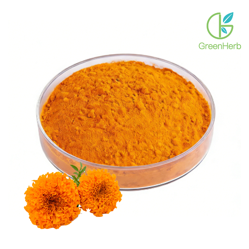 Lutein Powder close-up texture detail
