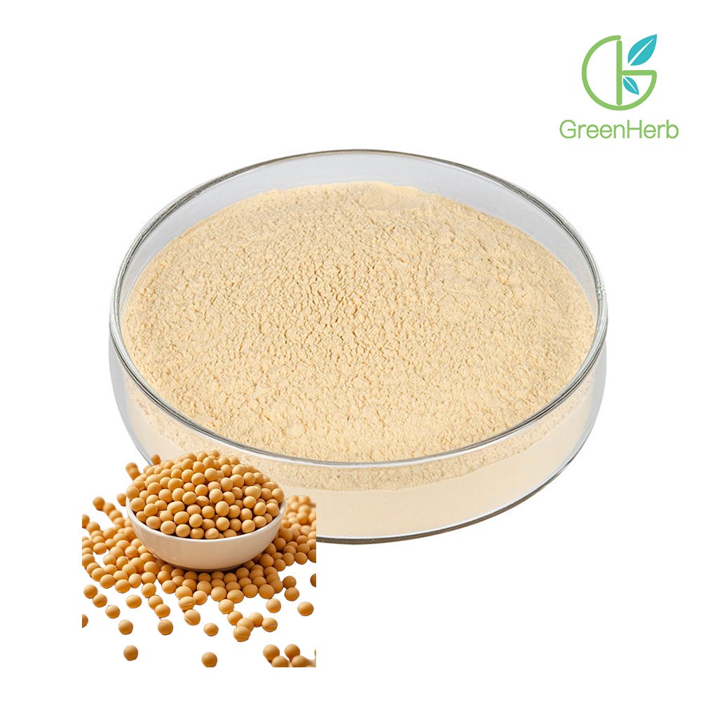 Pure Soy Protein Powder close‑up texture detail
