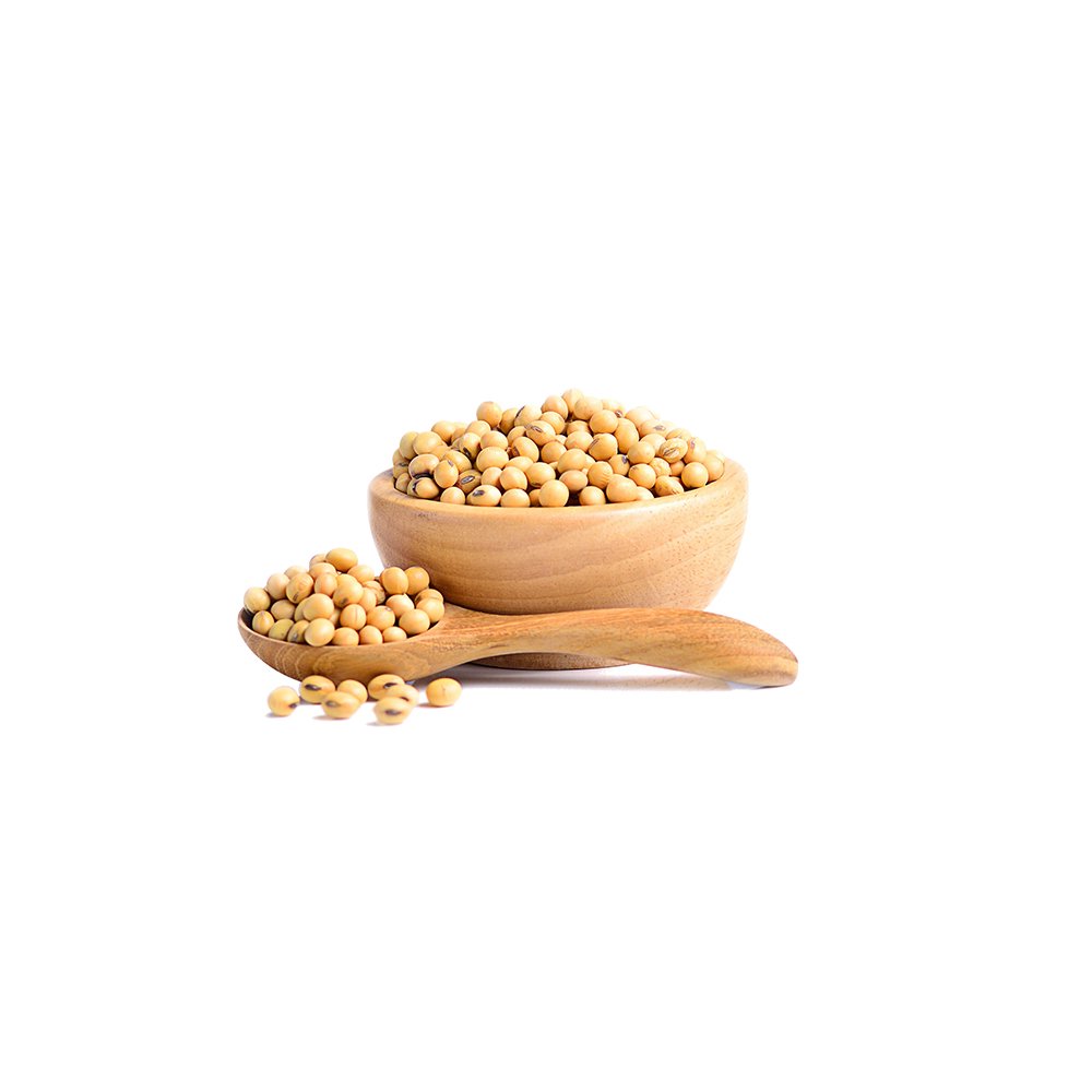 Isolated soy protein macro photography fine powder