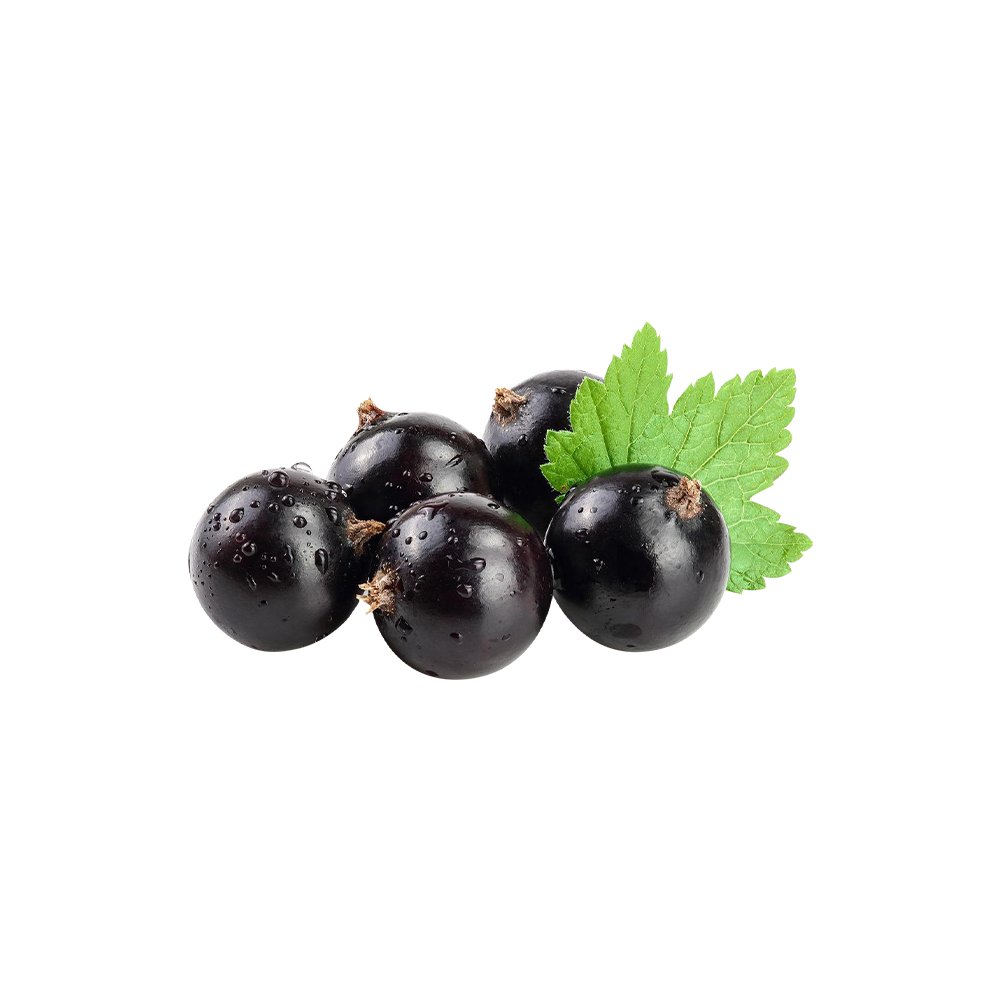 Elderberry powder2.jpg
