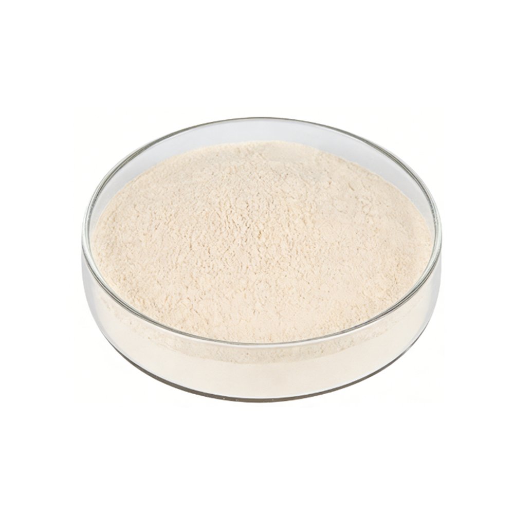 Light beige Rice Protein Powder fine powder detail