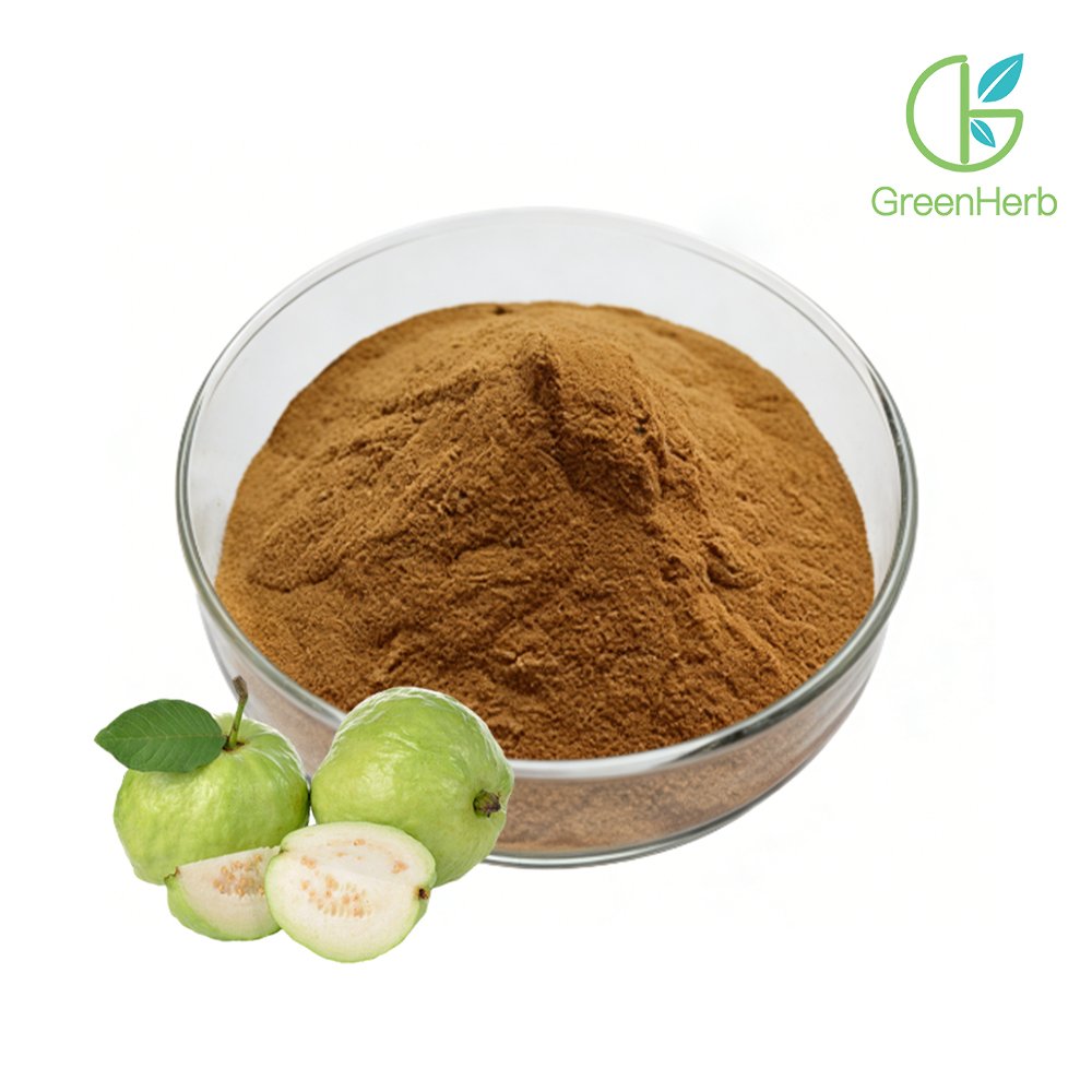 Guava Fruit Powder close-up texture detail
